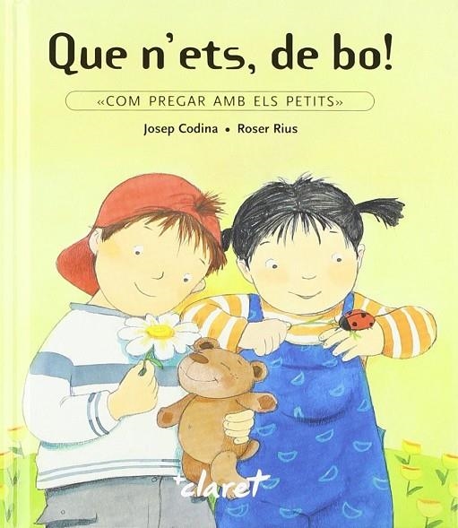 QUE N´ ETS , DE BO | 9788482973784 | CODINA I FARRÉS, JOSEP