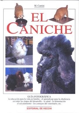 CANICHE EL | 9788431527891 | CANTINI, M