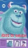 ESTE ES SULLEY | 9788448812928 | BORREGO DEL CASTILLO, ESTRELLA/PIXAR ANIMATION STUDIOSANIMATI