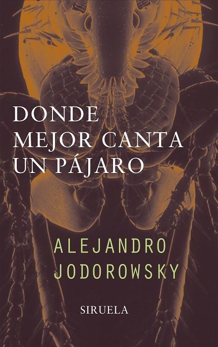 DONDE MEJOR CANTA UN PAJARO | 9788478445936 | JODOROWSKY, ALEJANDRO