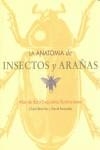 ANATOMIA DE LOS INSECTOS Y LAS ARAÑAS, LA | 9788495677334 | BEVERLEY, CLAIRE/PONSONBY, DAVID