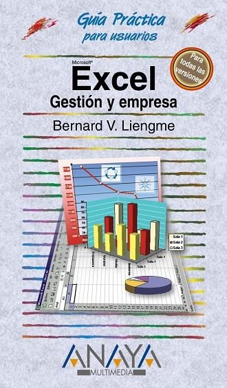 EXCEL GESTION Y EMPRESA | 9788441515536 | LIENGME, BERNARD V