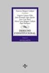 DERECHO CONSTITUCIONAL VOL 2 | 9788430940592 | BALAGUER CALLEJON, FRANCISCO