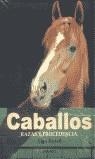 CABALLOS RAZAS Y PROCEDENCIA TD. | 9788445905920 | RUSELL, ALAN