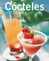 COCTELES | 9788480765435 | VV. AA.