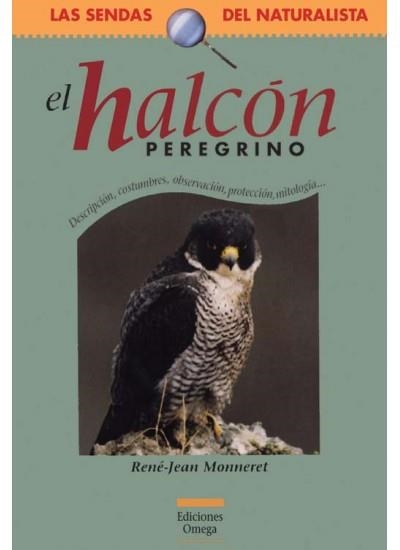 HALCON PEREGRINO, EL | 9788428213202 | MONNERET, RENE-JEAM