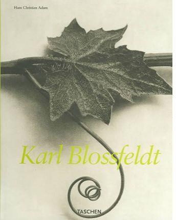 KARL BLOSSFELDT | 9783822834824 | ADAM, HANS CHRISTIAN