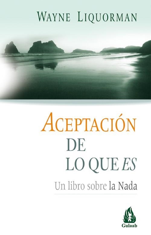 ACEPTACION DE LO QUE ES  UN LIBRO SOBRE LA NADA | 9788486797966 | LIQUORMAN, WAYNE