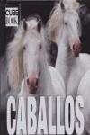 CABALLOS         CUBE BOOK | 9788489978997 | WEEKS, KENT R. (DIR.)