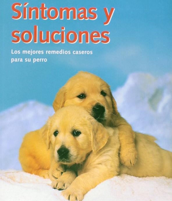 SINTOMAS Y SOLUCIONES PARA PERROS | 9783833114762 | HOFFMAN, MATTHEW