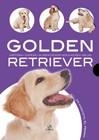 GOLDEN RETRIEVER. MI MASCOTA EL PERRO | 9788466209021 | VILLAHIZÁN PÉREZ, JAVIER