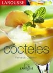 COCTELES | 9788483326213 | CASTELLON, FERNANDO