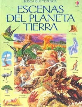 ESCENAS DEL PLANETA TIERRA | 9780746073964 | VARIOS