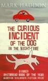 CURIOUS INCIDENT OF THE DOG IN THE NIGHT-TIME, THE | 9780099456766 | HADDON, MARK