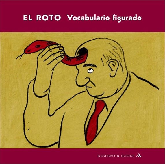 VOCABULARIO FIGURADO | 9788439720133 | EL ROTO