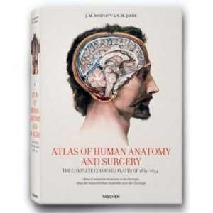 ATLAS OF HUMAN ANATOMY AND SURGERY | 9783822848210 | BOURGERY / JACOB