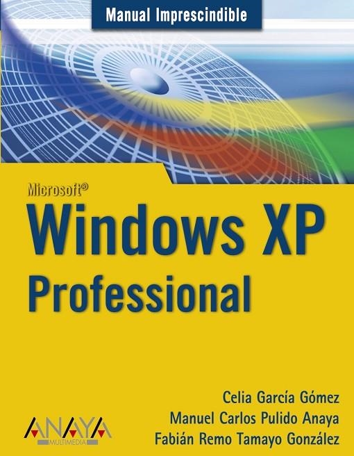 WINDOWS XP PROFESSIONAL | 9788441520424 | GARCIA GOMEZ, CELIA