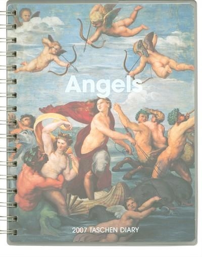 ANGELS AGENDA 2007 | 9783822853320 | VV.AA.