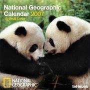 NATIONAL GEOGRAPHIC CALENDARIO 2007 ANIMAL LOVE | 9783832717605 | VARIOS