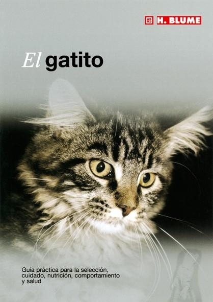 GATITO, EL | 9788489840843