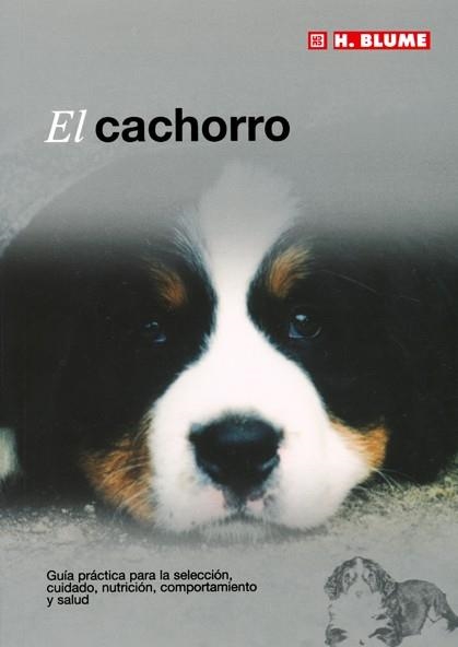 CACHORRO, EL | 9788489840898