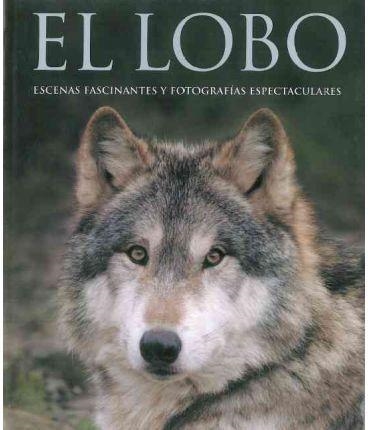 LOBO, EL | 9781405489690 | ELLIS, SHAUN