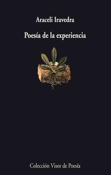 POESIA DE LA EXPERIENCIA | 9788475226514 | IRAVEDRA, ARACELI ED.