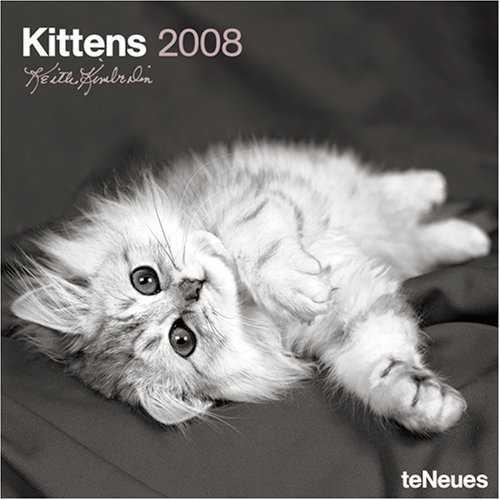 KITTENS CALENDARI 2008 | 9783832722838 | VARIOS