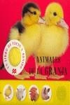 ANIMALES GRANJA (LLIBRE AMB SO) | 9788479421045 | BOOKS, PRIDDY