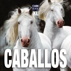 CABALLOS XL | 9788496865099 | ANÓNIMO