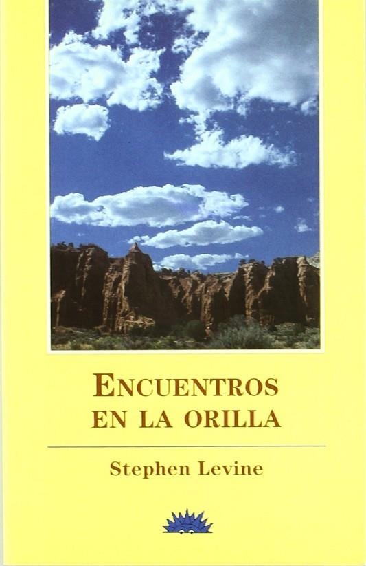 ENCUENTROS EN LA ORILLA | 9788487598388 | LEVINE, STEPHEN