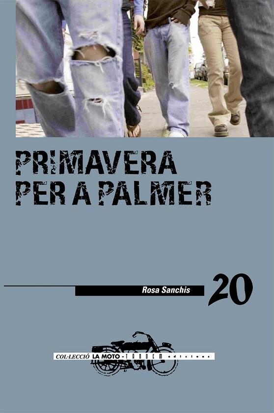 PRIMAVERA PER A PALMER | 9788481318081 | SANCHIS, ROSA