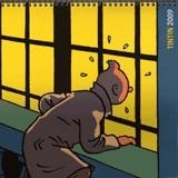 TINTIN CALENDARIO 2009 | 9788484183792 | VARIOS