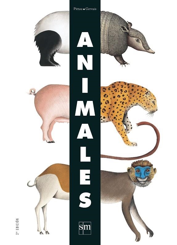 ANIMALES | 9788467528862 | PITTAU / GERVAIS