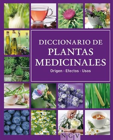 DICCIONARIO DE PLANTAS MEDICINALES | 9783869412146 | VVAA