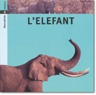 ELEFANT, L -DESCOBRIM | 9788424602734 | PORTELL RIFÀ, JOAN/ARÀNEGA, SUSANNA