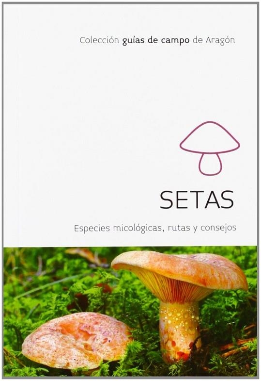 SETAS ESPECIES MICOLOGICAS RUTAS Y CONSEJOS | 9788483218518 | AAVV