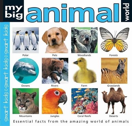 MY BIG ANIMAL WORLD TD | 9781843323587 | PRIDDY BOOKS