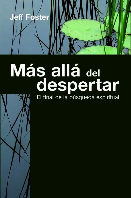 MAS ALLA DEL DESPERTAR : EL FINAL DE LA BUSQUEDA ESPIRITUAL | 9788472456921 | FOSTER, JEFF