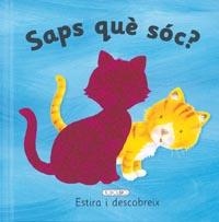 SAPS QUE SOC? | 9788498067910 | TODOLIBRO, EQUIPO