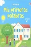 MIS PRIMERAS PALABRAS | 9781409501879 | AA.VV