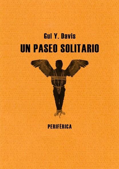 PASEO SOLITARIO, UN | 9788493692636 | DAVIS, GUL Y.