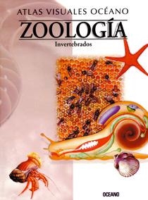 INVERTEBRADOS , ATLAS VISUALES OCEANO DE ZOOLOGIA | 9788449412882 | GISPERT, CARLOS