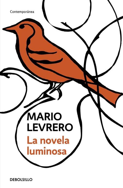 NOVELA LUMINOSA, LA | 9788499080260 | LEVRERO, MARIO