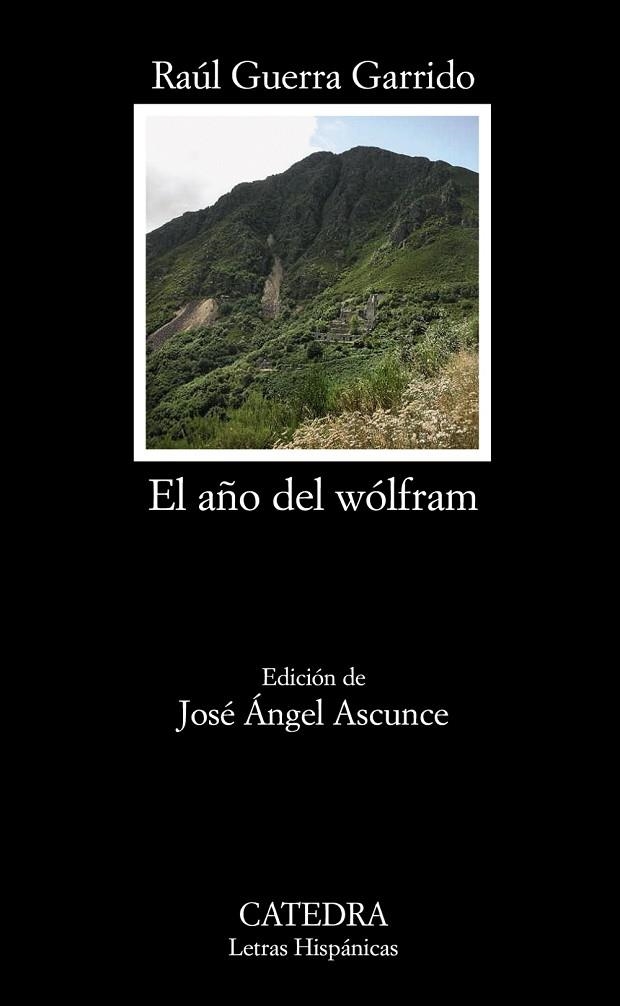 AÑO DEL WOLFRAM, EL | 9788437626505 | GUERRA GARRIDO, RAÚL