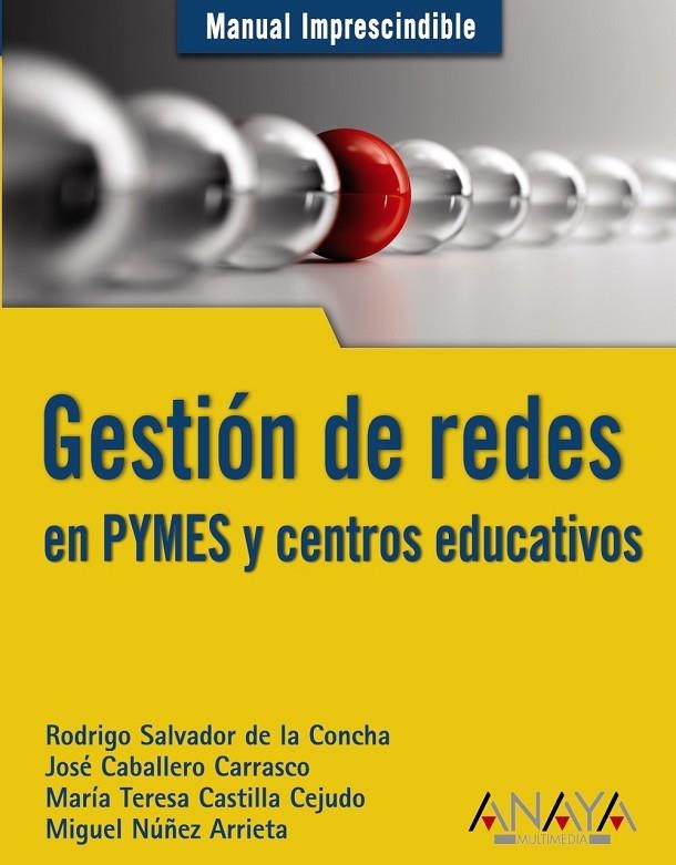 GESTION DE REDES EN PYMES Y CENTROS EDUCATIVOS | 9788441528192 | RODRIGO SALVADOR, CONCHA...