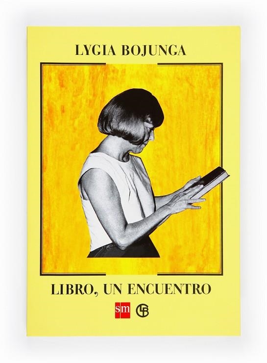 LIBRO UN ENCUENTRO | 9788467540307 | BOJUNGA, LYGIA