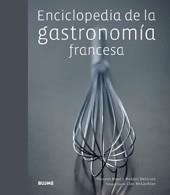 ENCICLOPEDIA DE LA GASTRONOMIA FRANCESA | 9788480768863 | BOUE, VINCENT / H. DELORME