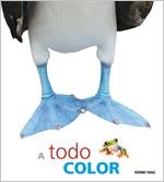 A TODO COLOR | 9786074003741 | VARIOS AUTORES