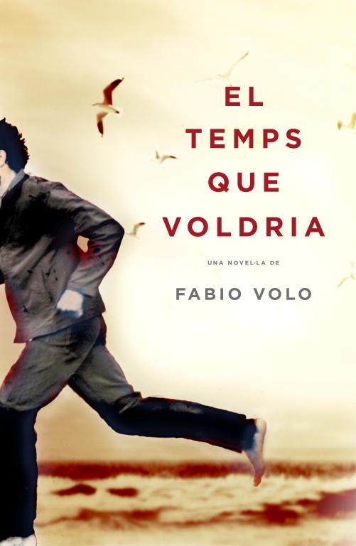 TEMPS QUE VOLDRIA, ELS | 9788401339325 | VOLO, FABIO